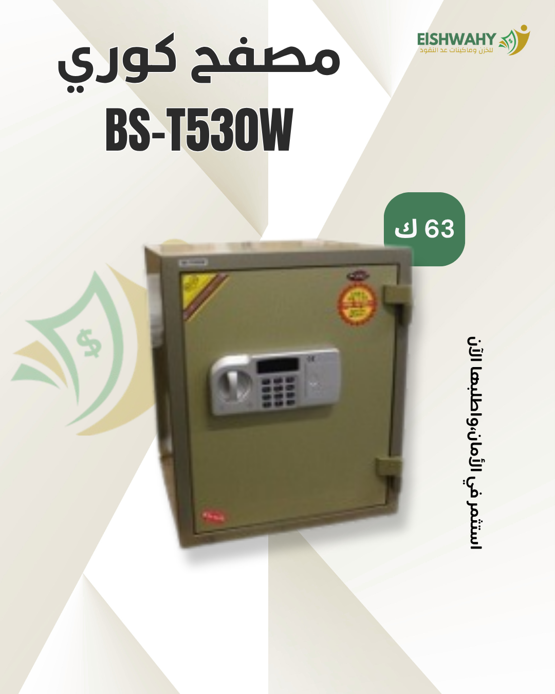 BS T530